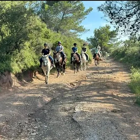 אכסניה La Du Menhir Bize-Minervois