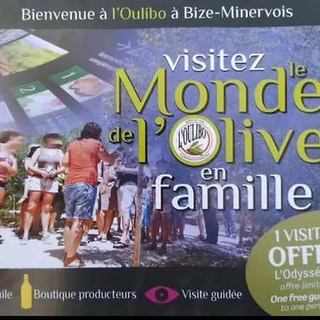La Villa Du Menhir Chambre D'Hotes Et Gite Bize-Minervois