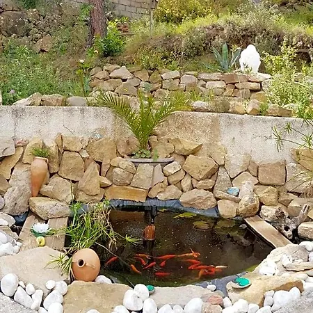La Du Menhir D'hotes Et 山林小屋 *